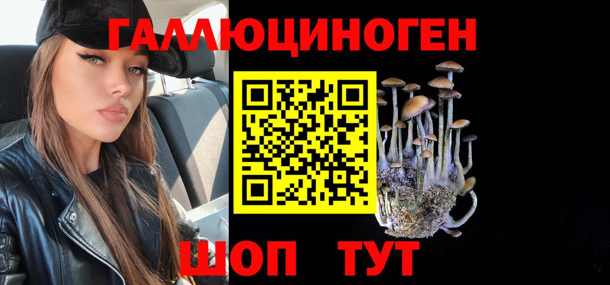 Котовск  Галлюциногенные грибы прущие грибы  Вход с VPN 